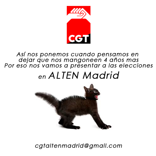 Elecciones sindicales en ALTEN Madrid